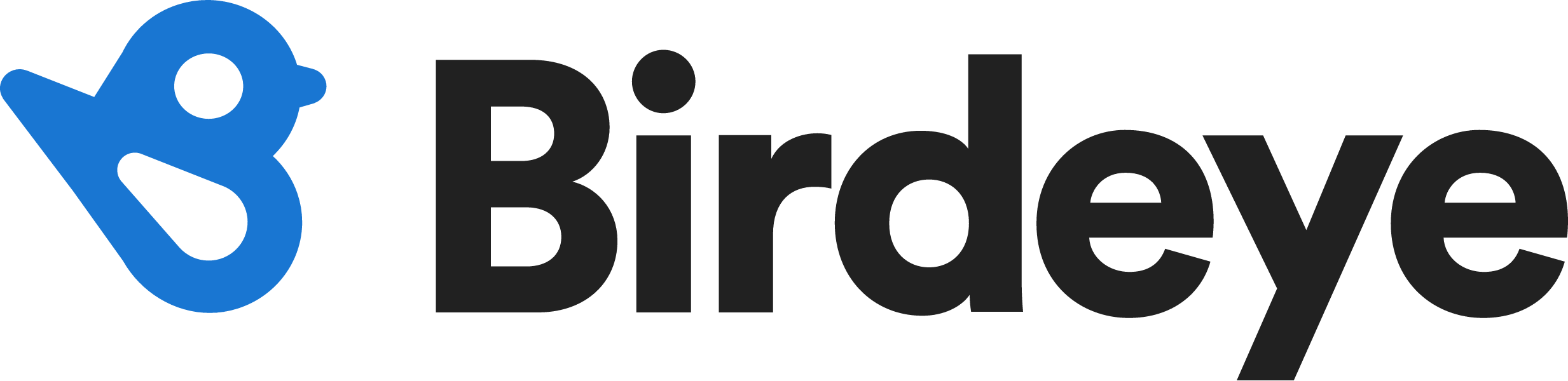 Birdeye (Customer Experience Platform) lead image