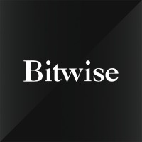 Bitwise 标识