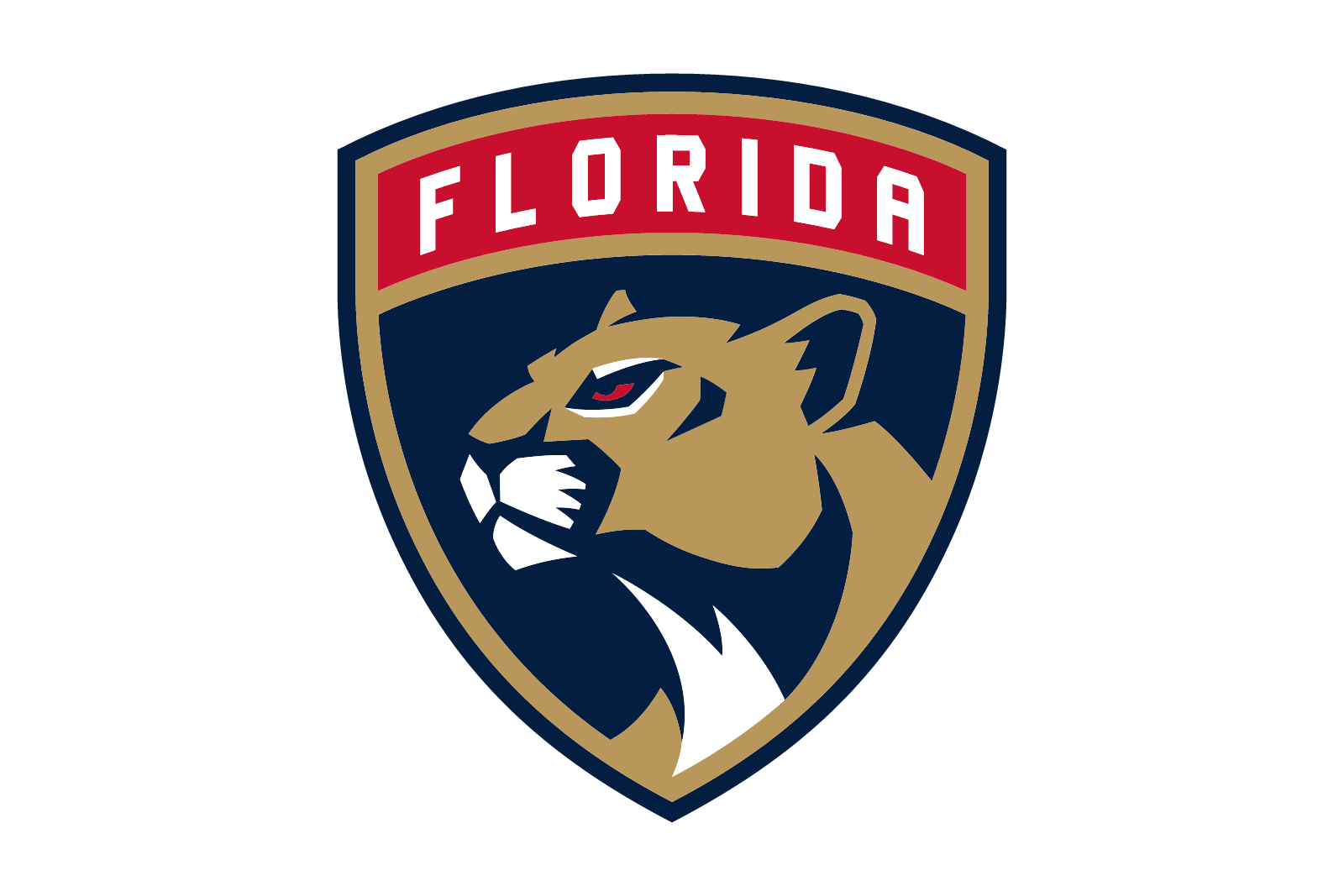 Florida Panthers lead image