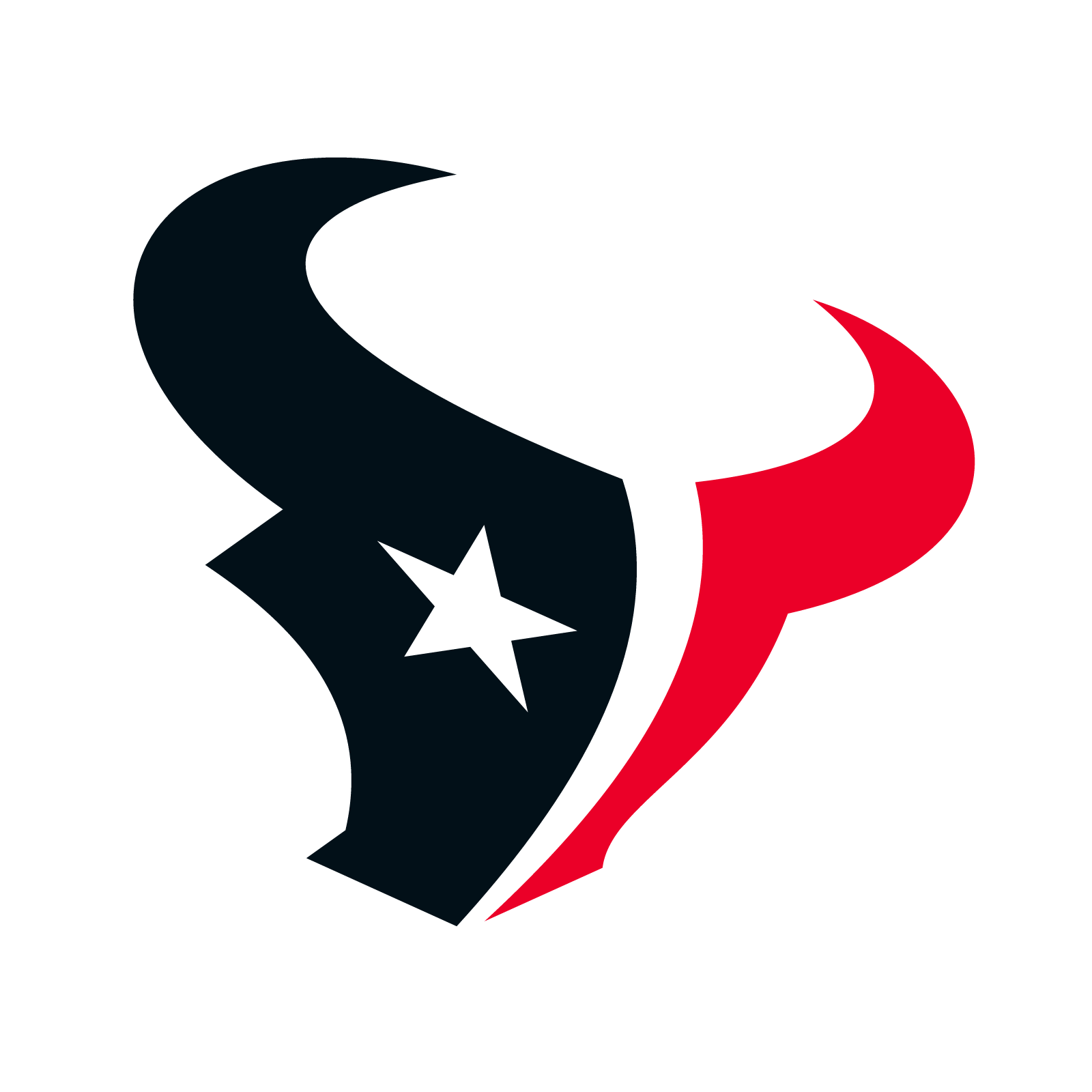 Houston Texans lead image