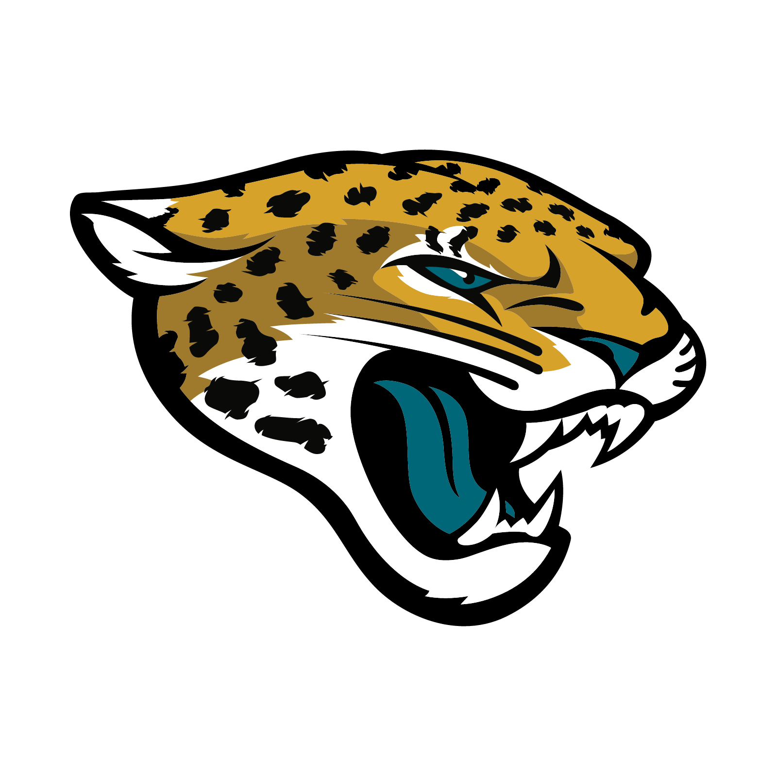 Jacksonville Jaguars lead image