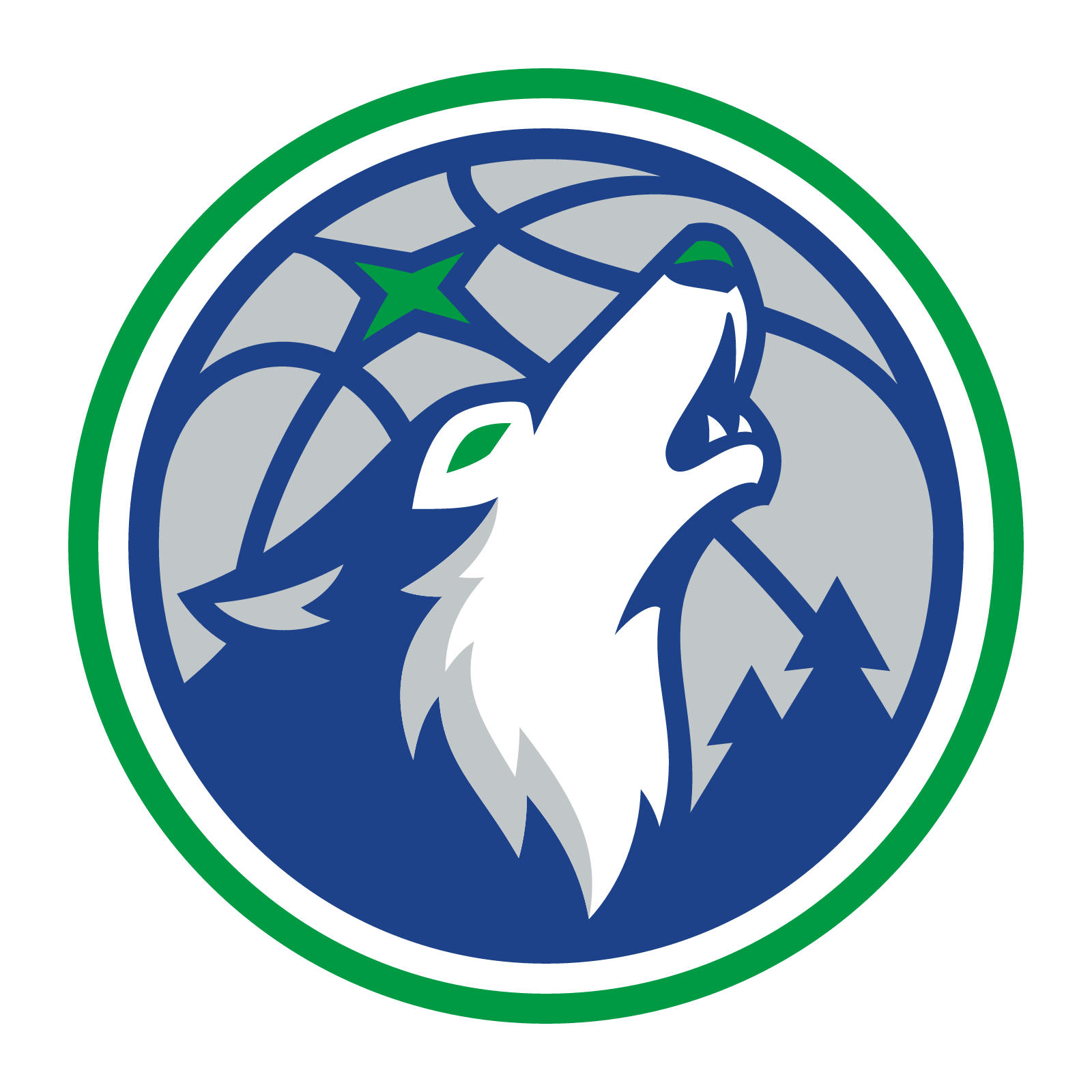 Minnesota Timberwolves lead image
