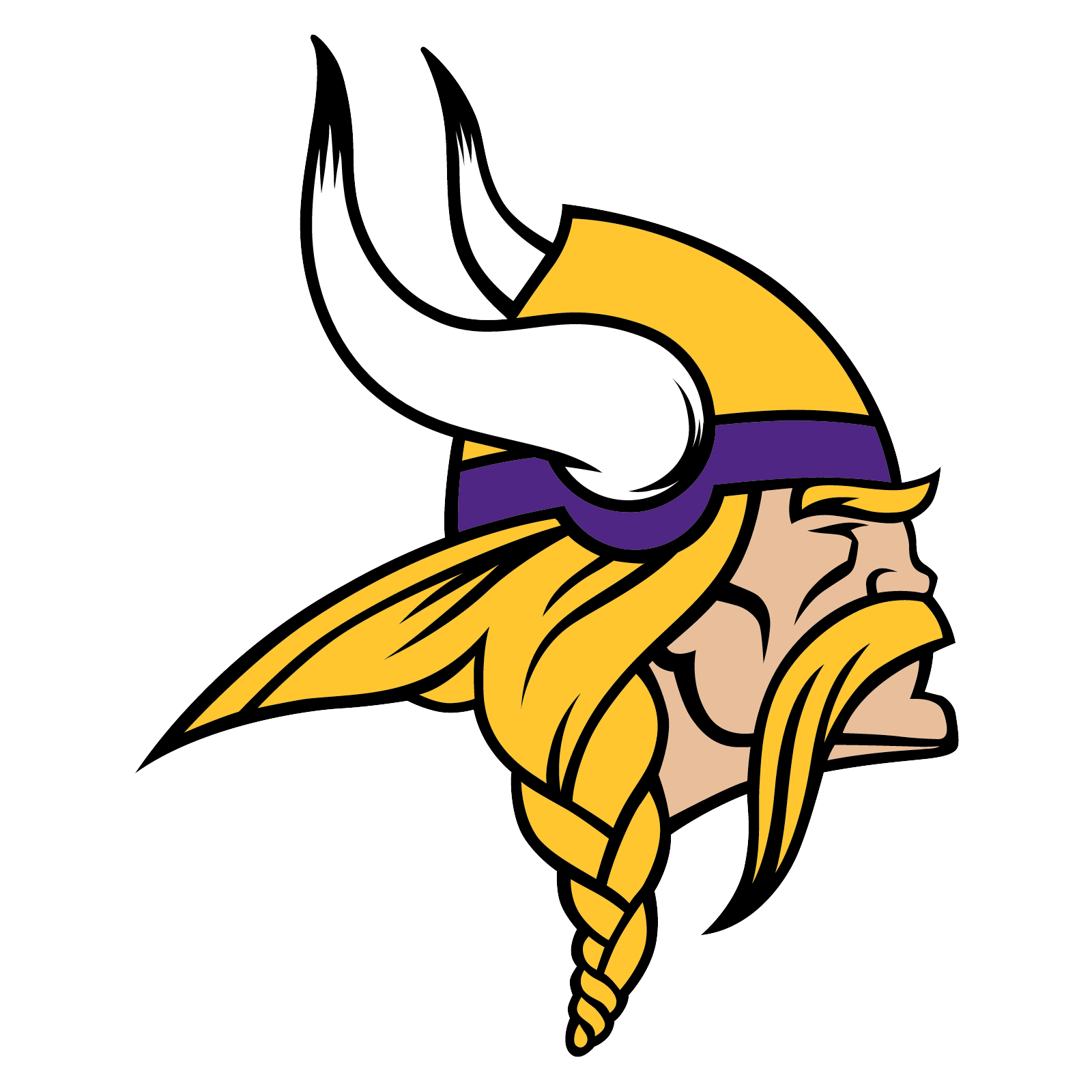Minnesota Vikings lead image