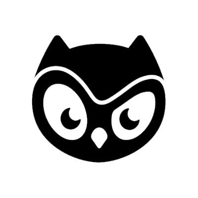 Moonbirds项目头像