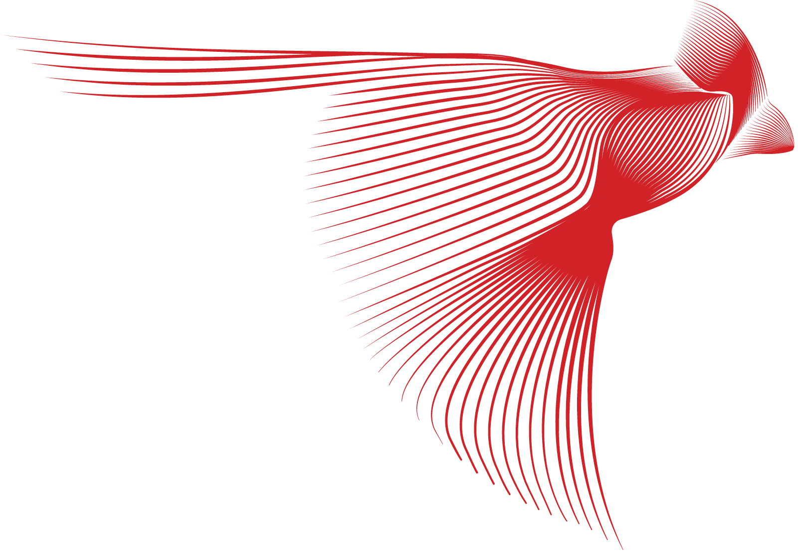 RedBird Capital Partners主图