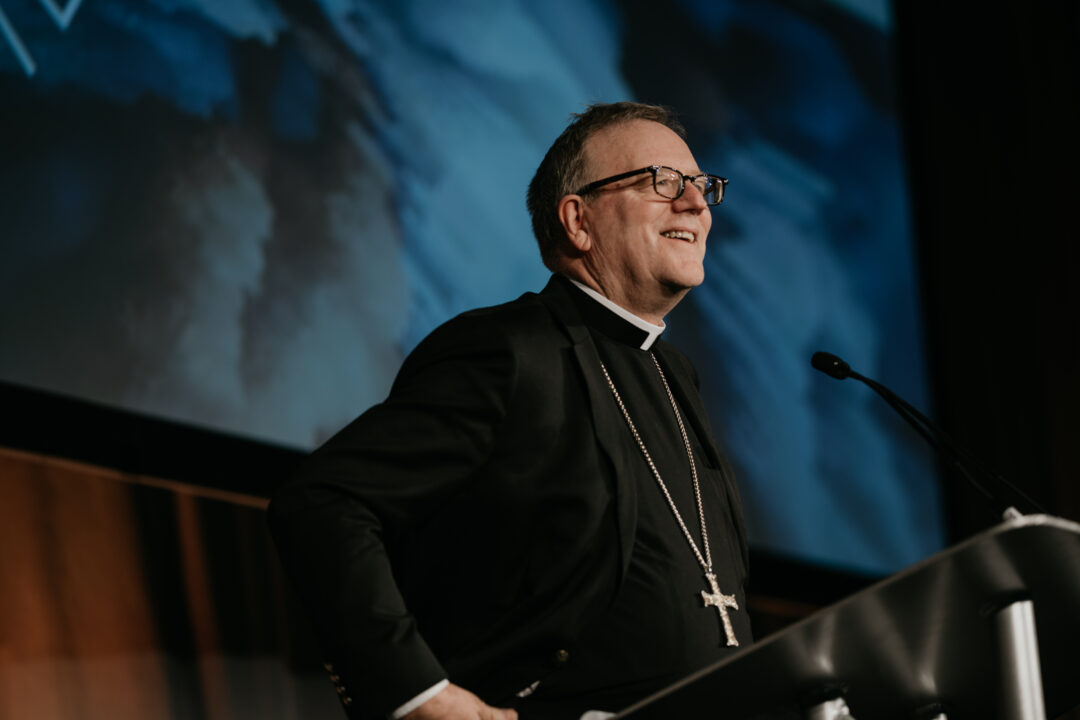 Robert Barron 的照片