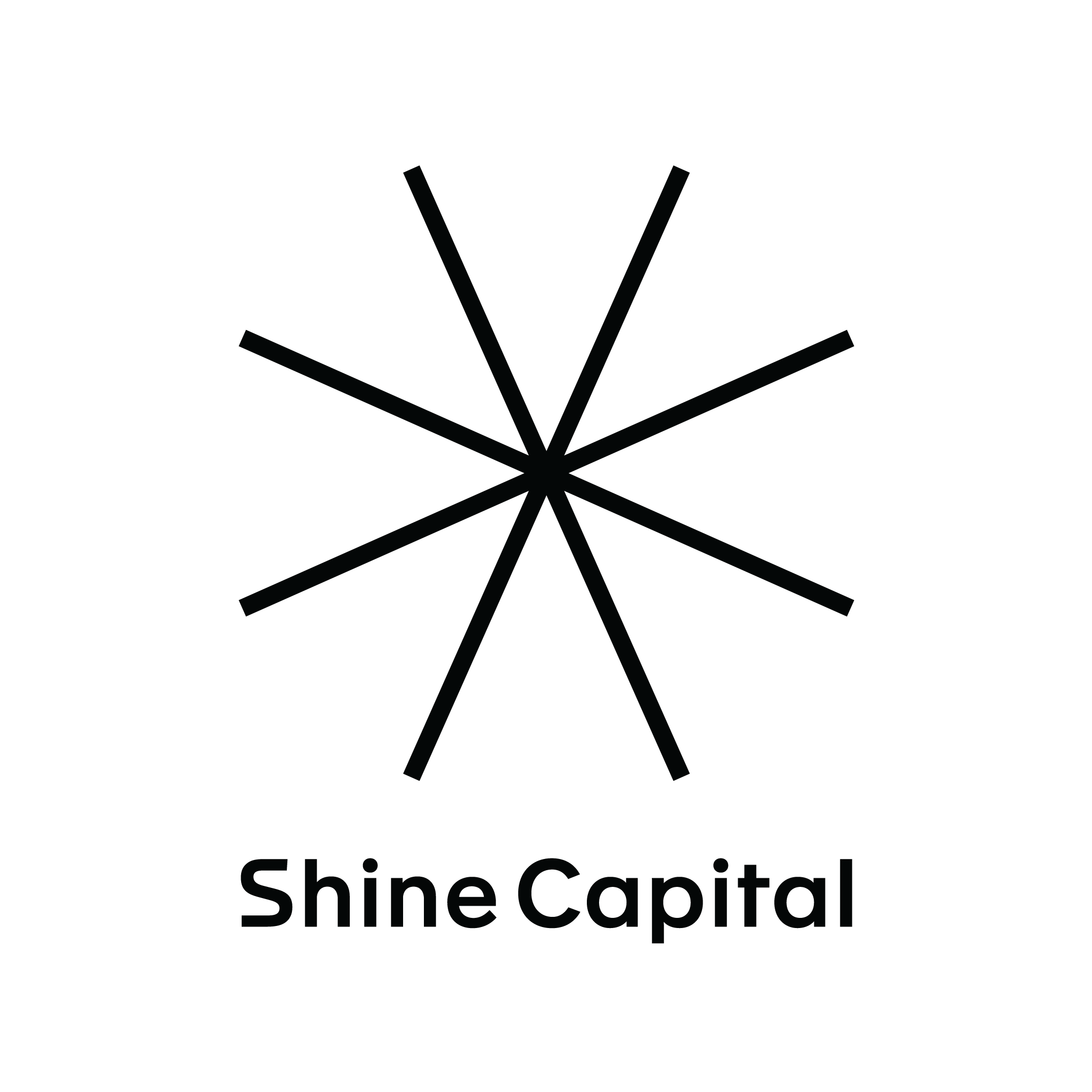 Shine Capital lead image